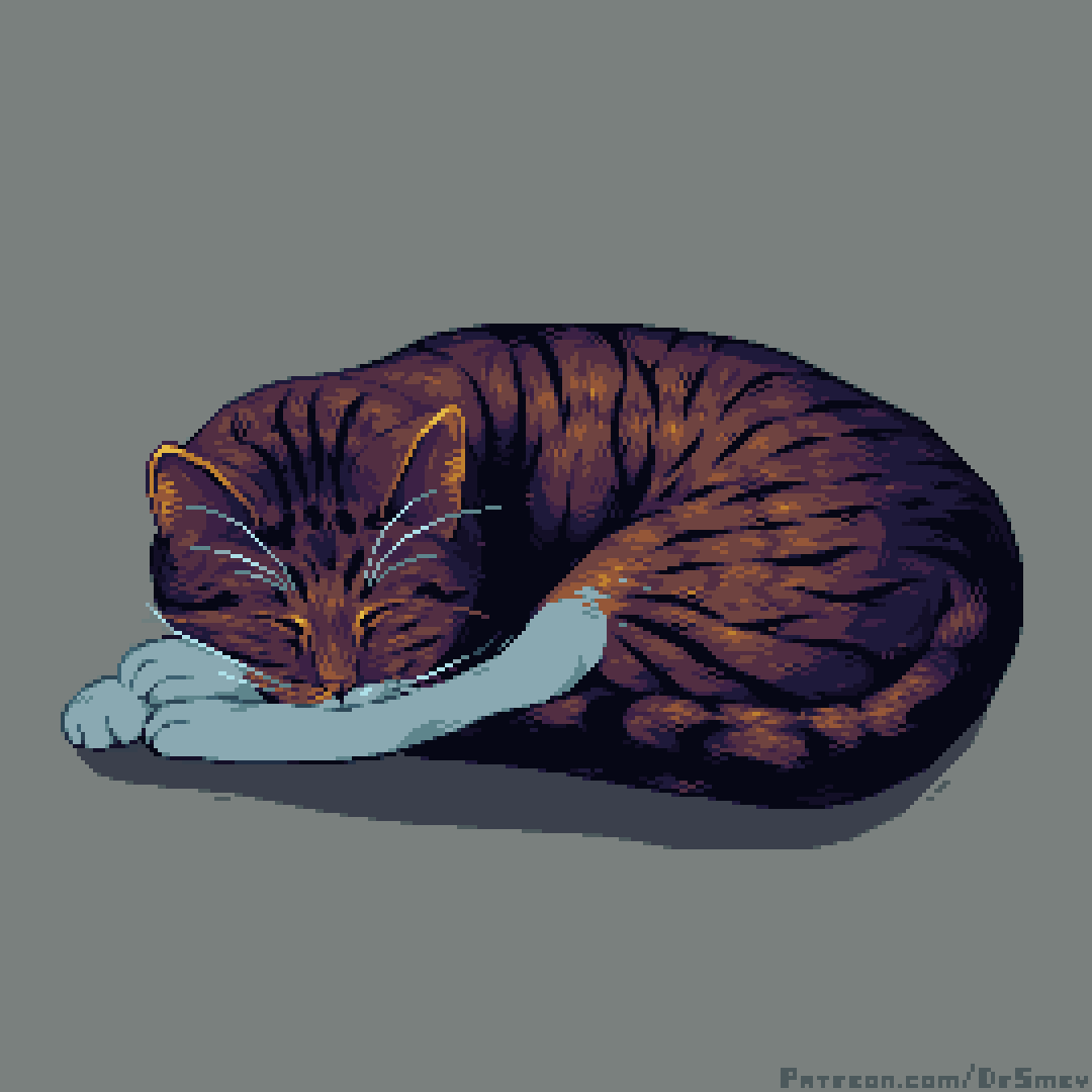 Purrfect Pillow (2024)