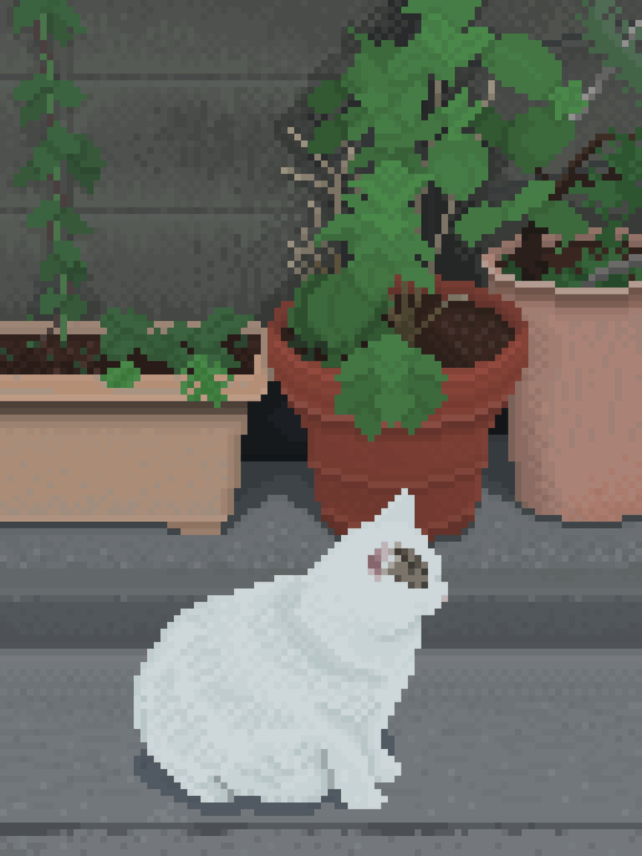Cat Pixel Art