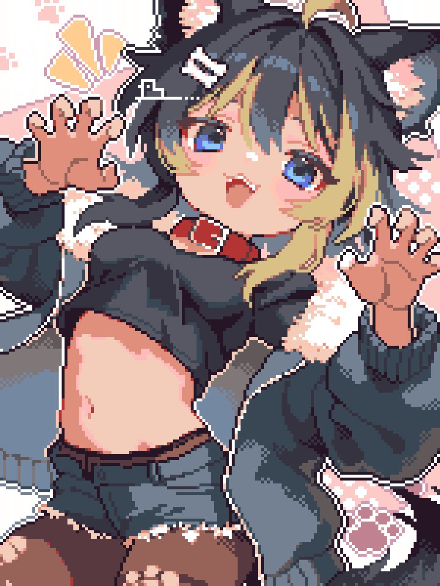 🦴🐾