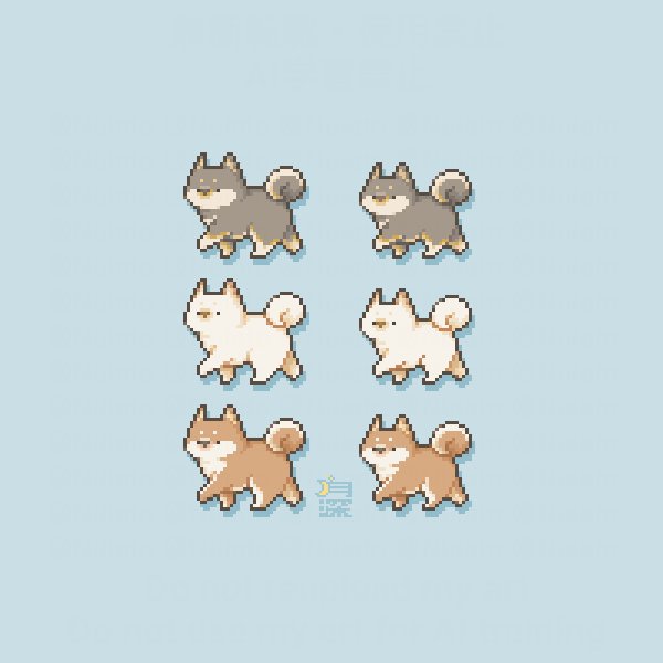 柴犬と豆柴🐾