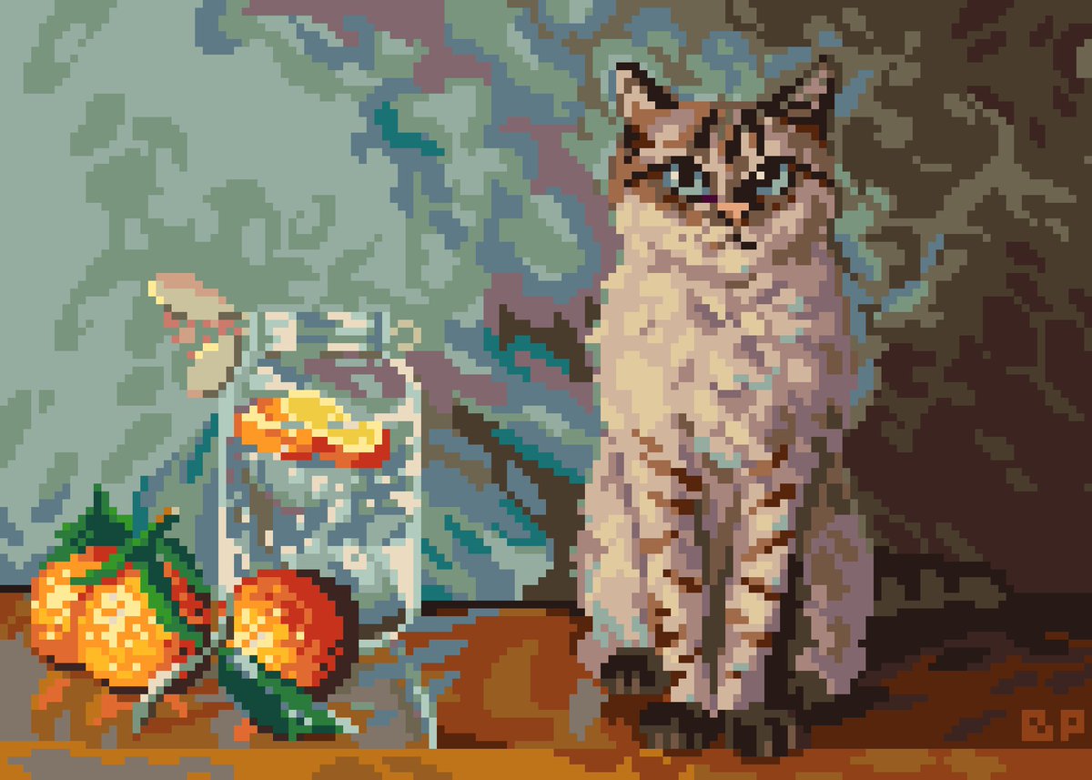 Cat and oranges study🍊