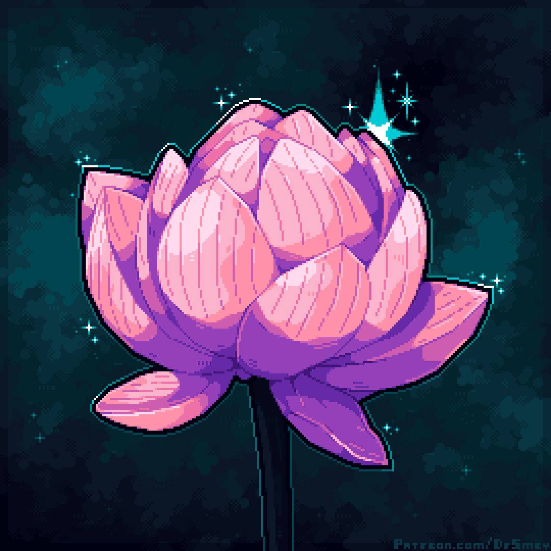 Starlight Lotus (2025)