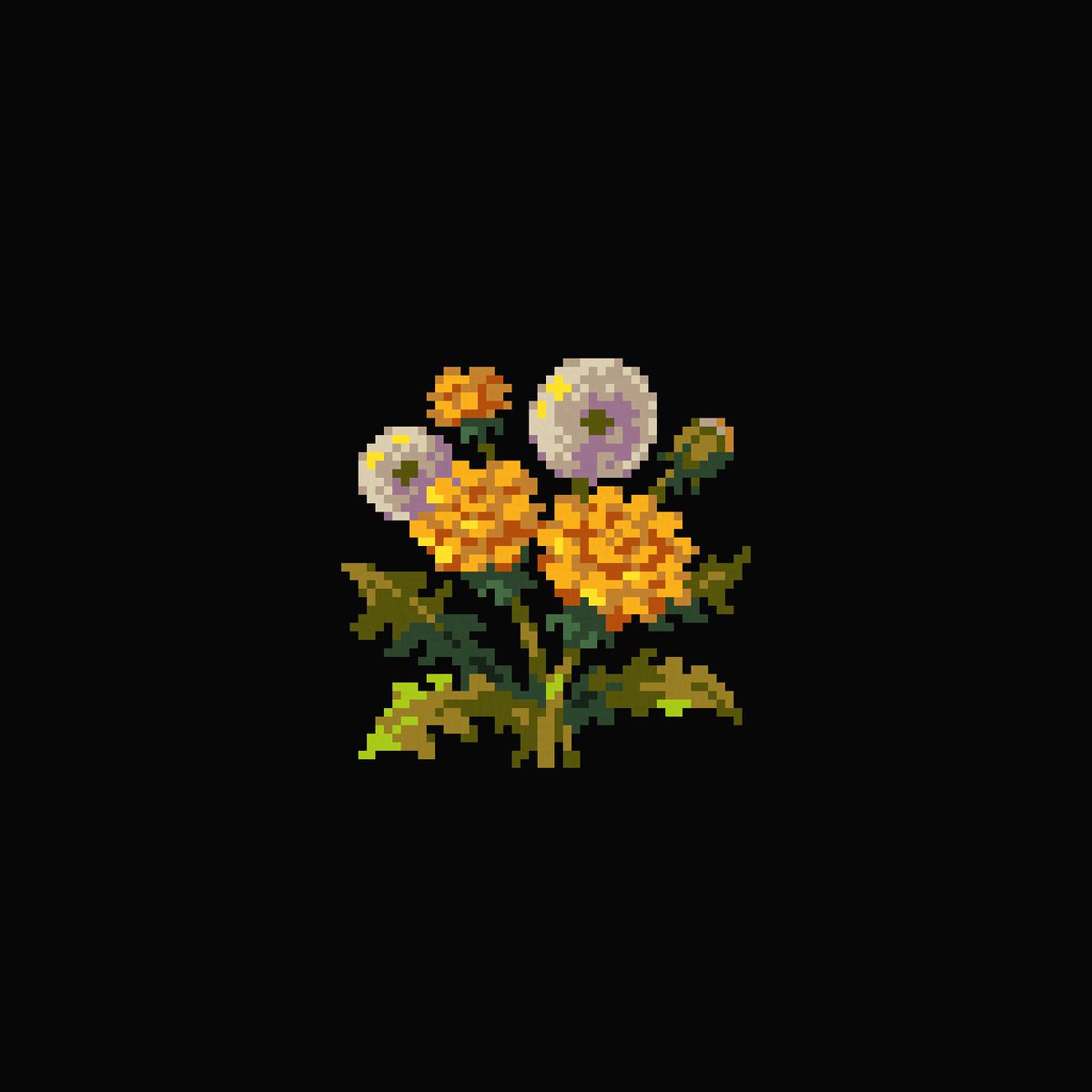 Dandelions🌼