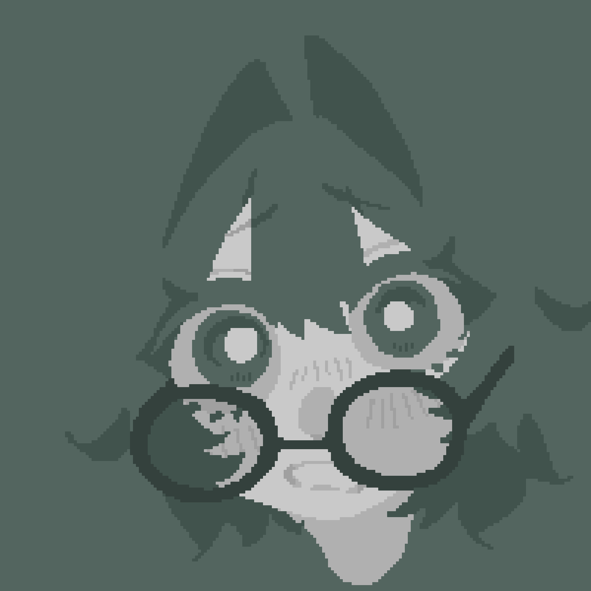👓