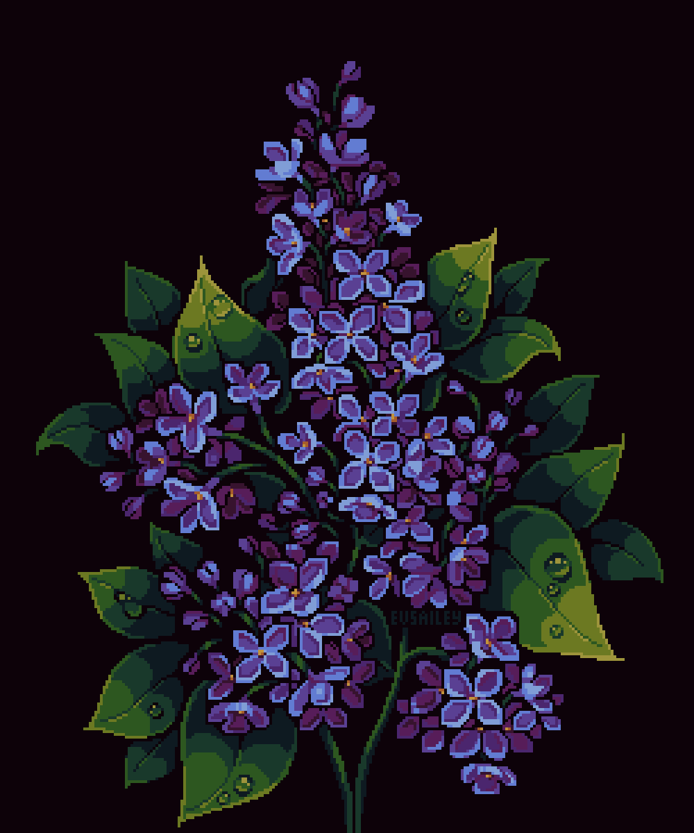Lilac💜