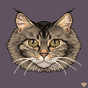 Pixel kitty up close