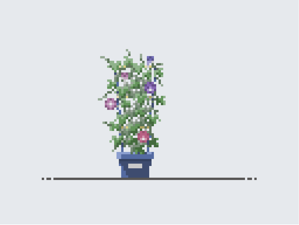 夏の始まり (The beginning of summer)